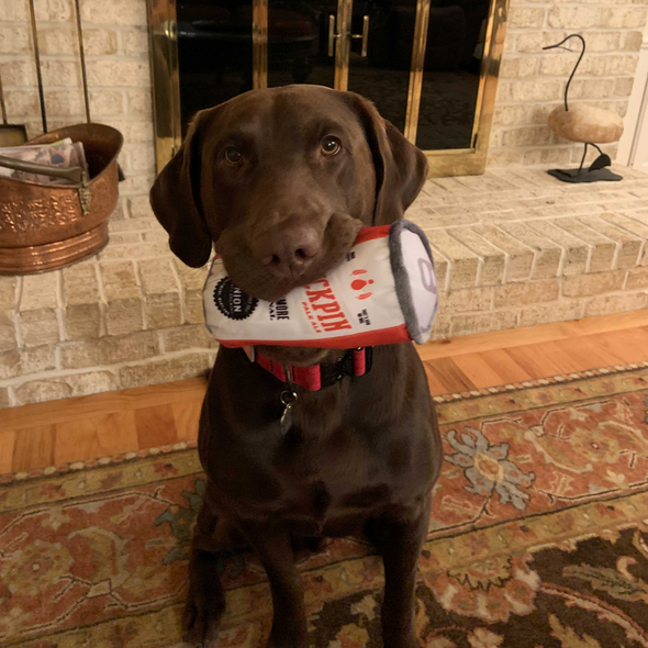 Duckpin Pet Toy